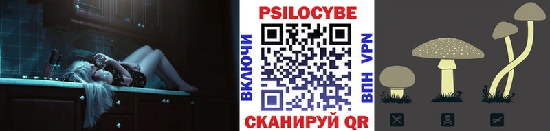 купить закладку  Малмыж  дарк нет официальный сайт  Псилоцибиновые грибы Psilocybe 